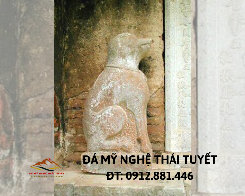 Con giống đá - CGD 003