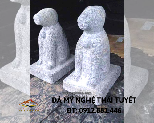 Con giống đá - CGD 006