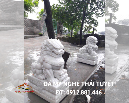 Con giống đá - CGD 011