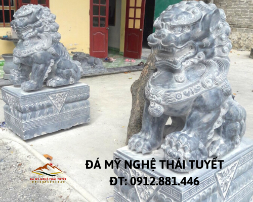 Con giống đá - CGD 017