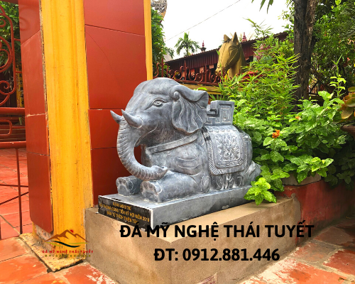 Con giống đá - CGD 019